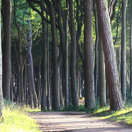 Arne 公寓 Börgerende-Rethwisch