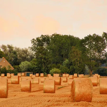 公寓 Arne Börgerende-Rethwisch