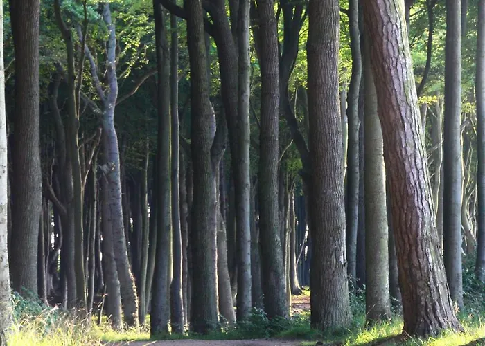 Arne Apartament Börgerende-Rethwisch