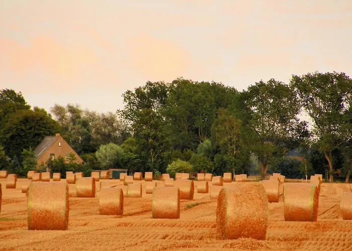 Apartament Arne Börgerende-Rethwisch